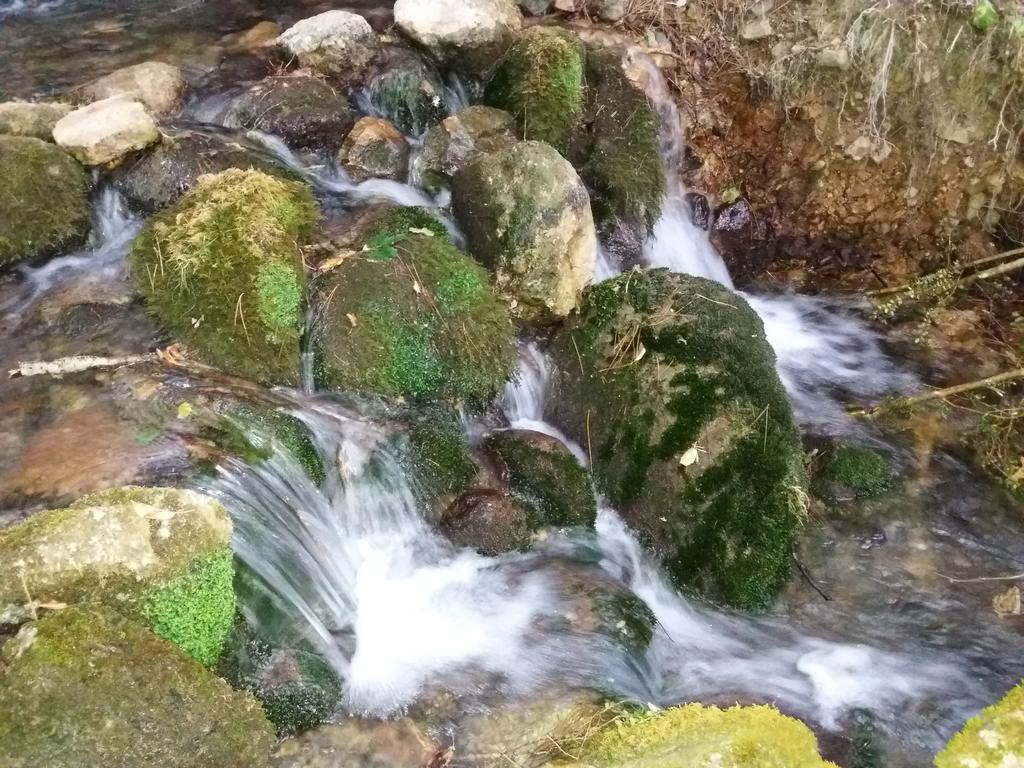 فندق Casa Rural Moli De Fornols المظهر الخارجي الصورة