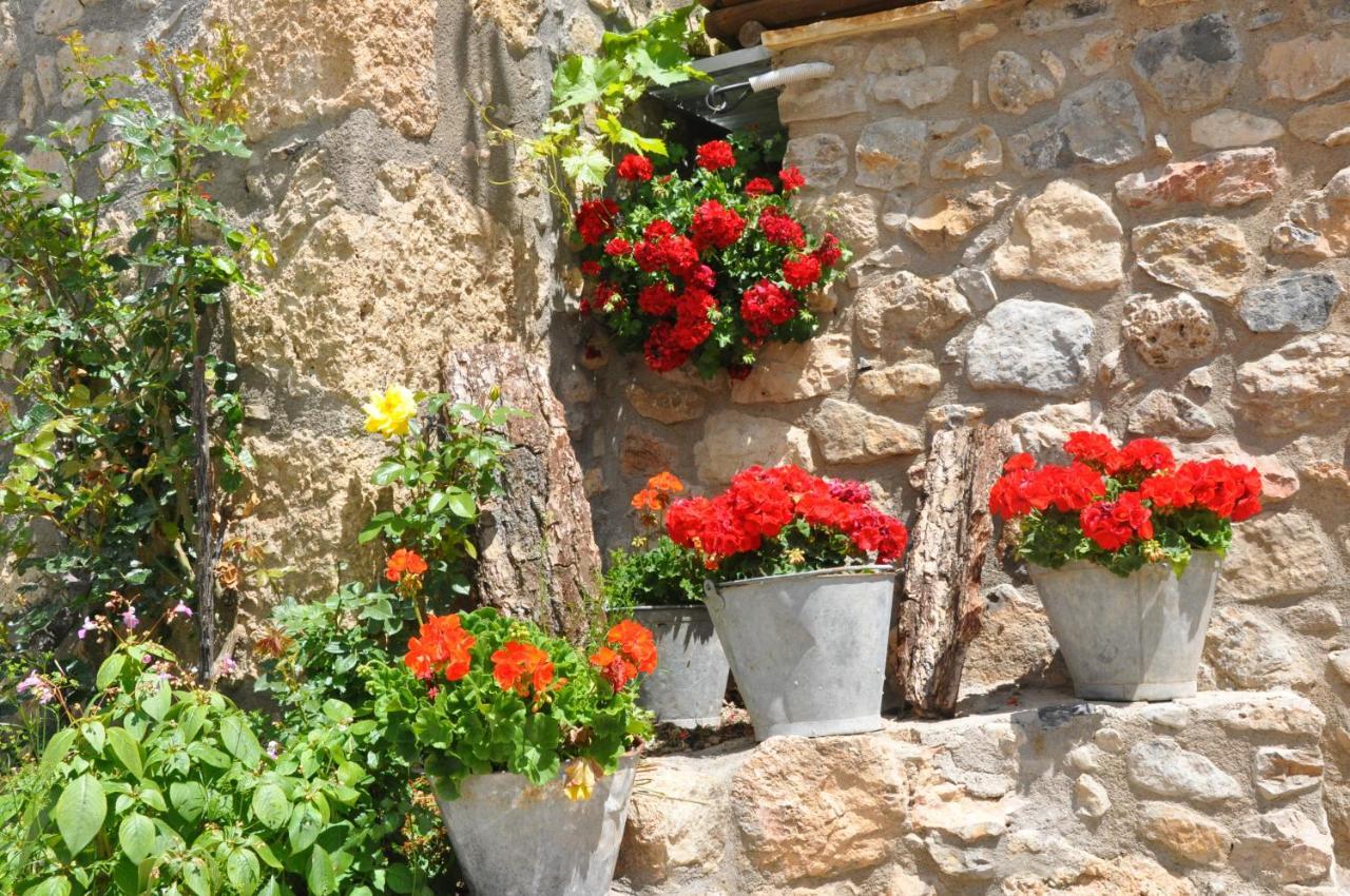 فندق Casa Rural Moli De Fornols المظهر الخارجي الصورة